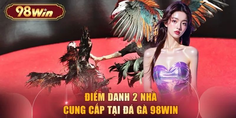 Điểm danh 2 nhà cung cấp tại đá gà 98WIN